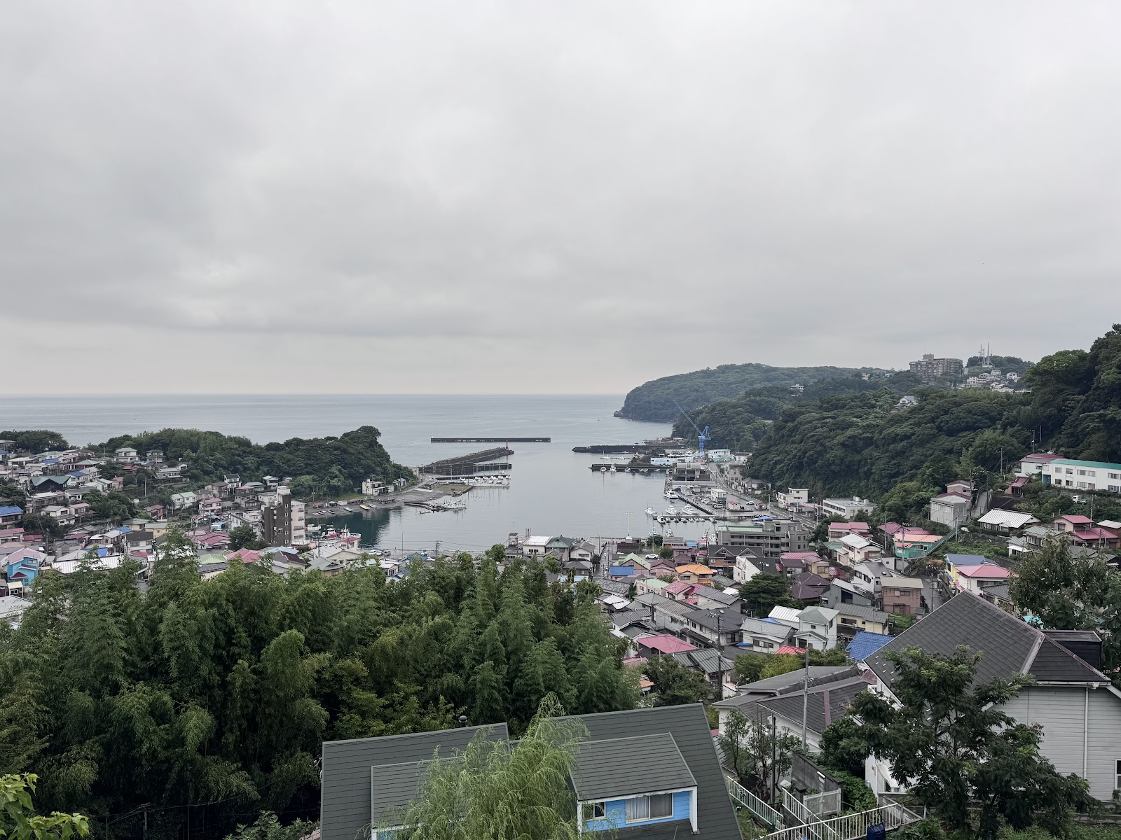 IMG_8532